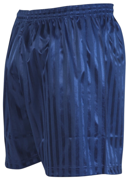 Flying High Academy P.E. Shorts Navy