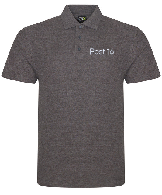 Ash Lea Post 16 Polo