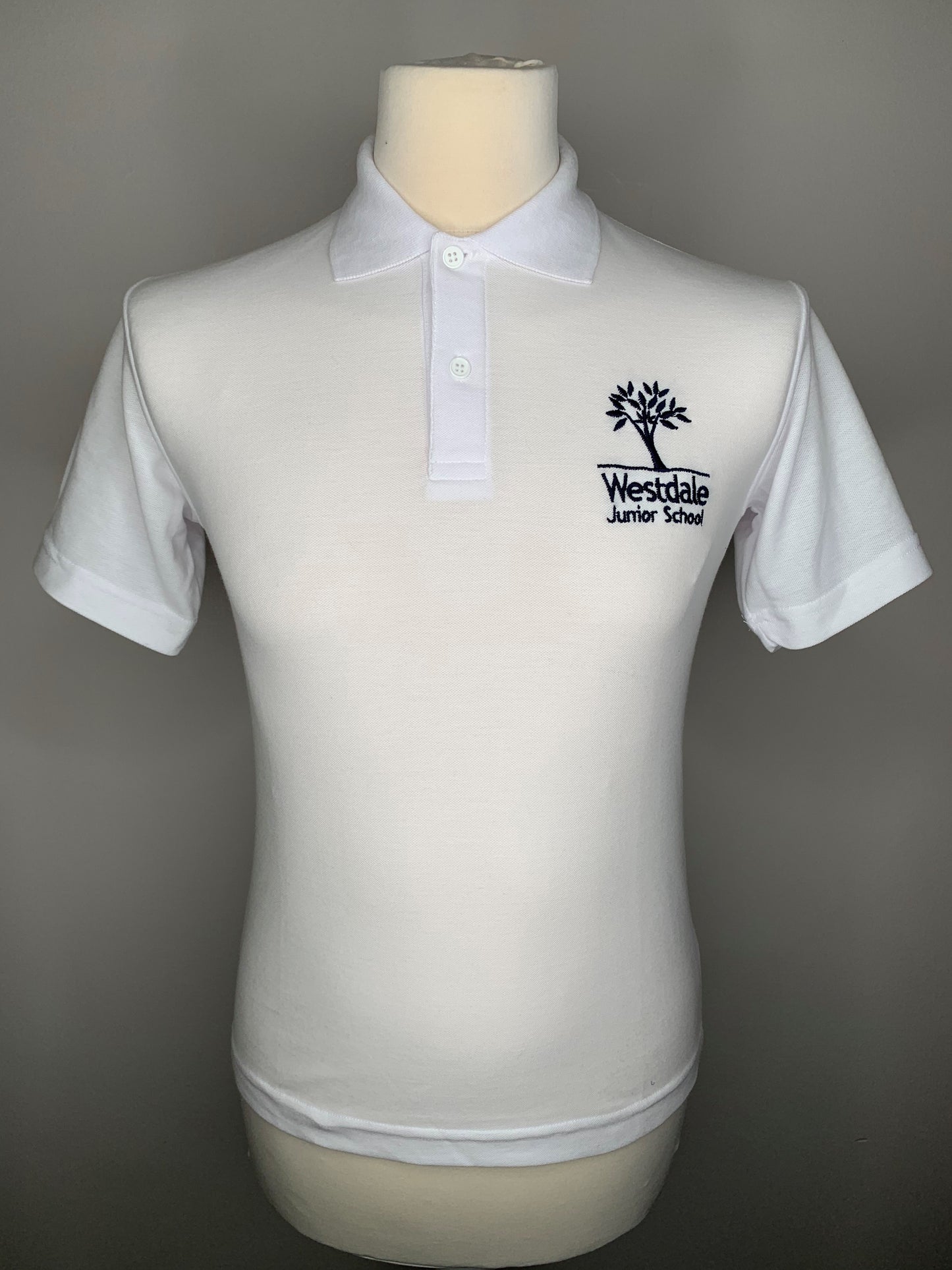 Westdale Junior Polo